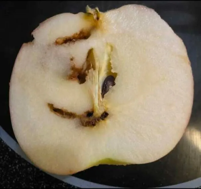 Sliced pear with inner seeds and marks resembling a staring face