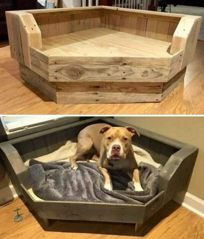 Handcrafted wooden dog bed frames showcasing rustic wooden creations for pets