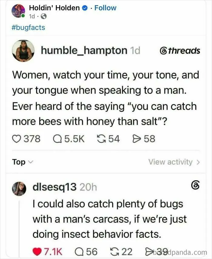 A social media post where women fighting to be viewed as people is highlighted in a witty comeback about insect behavior.