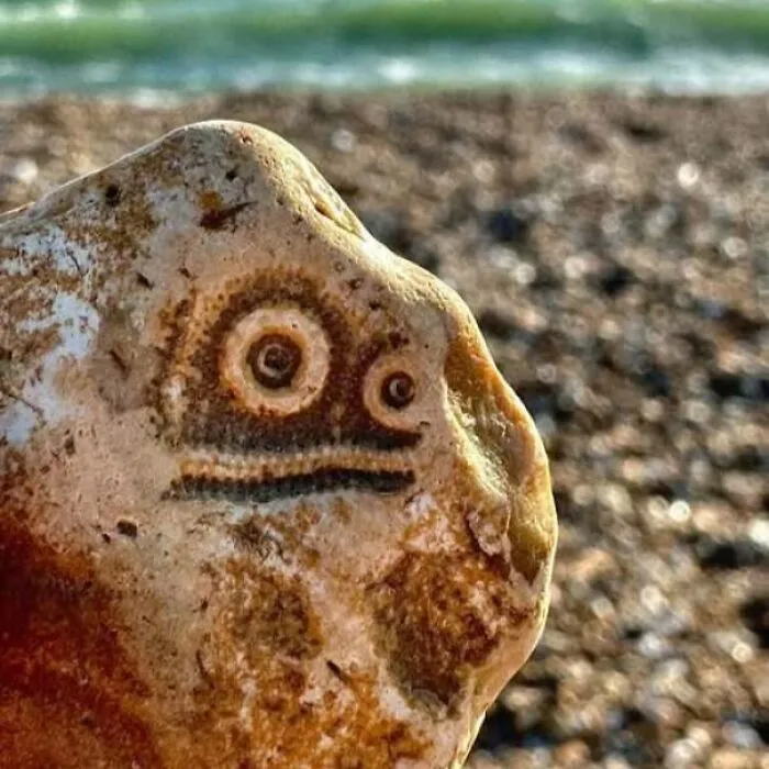 Rock on beach with natural markings that resemble a staring face