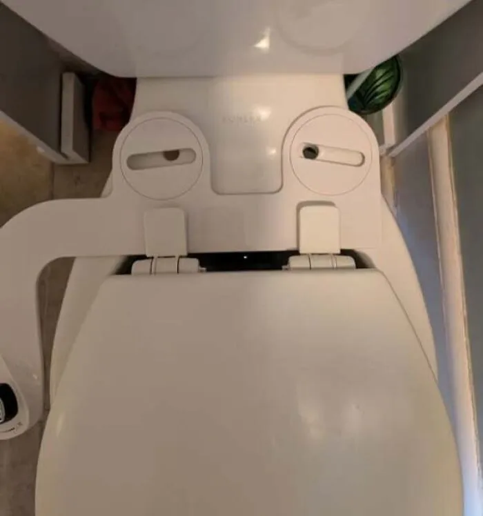 Toilet seat with hinges and holes resembling a surprised face staring
