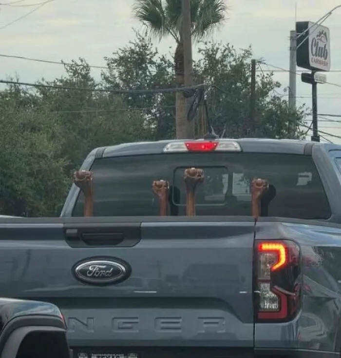 Pickup truck with wooden handles looking like raised fists staring