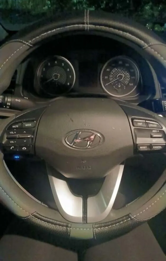 Car steering wheel and instrument panel resembling a face