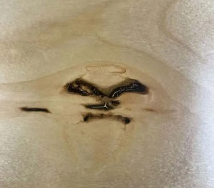 Wood knot with grain resembling an angry face