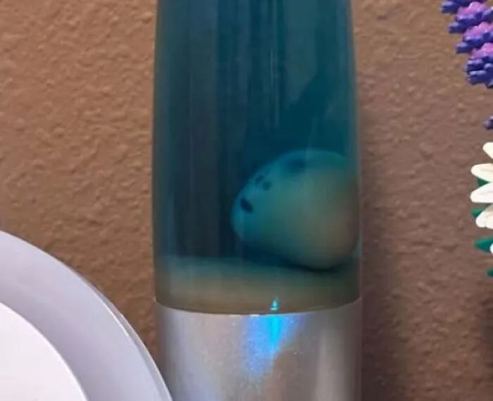Decorative item in liquid that looks like a face staring