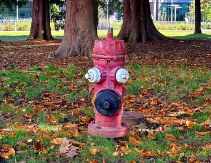 Red fire hydrant in park that looks like a face staring