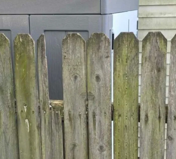 Wooden fence with a plank that looks like a face staring