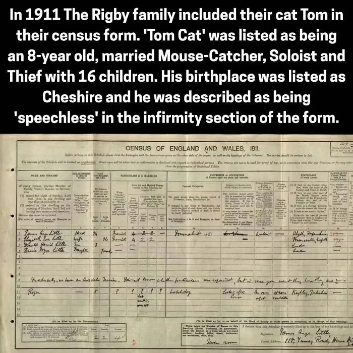 1911 Rigby family census form listing their cat Tom Cat as a mouse-catcher and thief