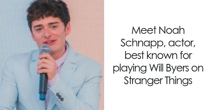 Noah Schnapp: Bio And Career Highlights