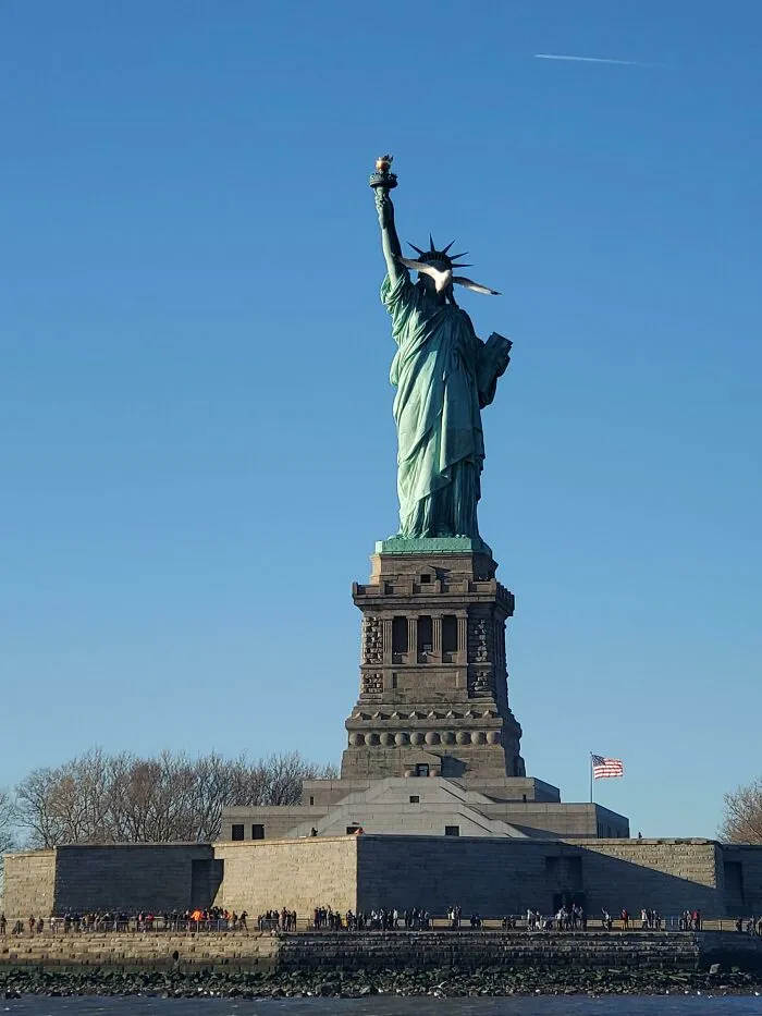 A seagull blocks the face of the Statue of Liberty in a photo hijacked by the background