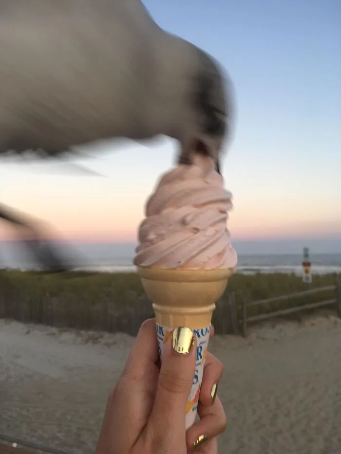 A blurry seagull flies into the frame to steal a pink ice cream cone, a moment captured in background photobomb.