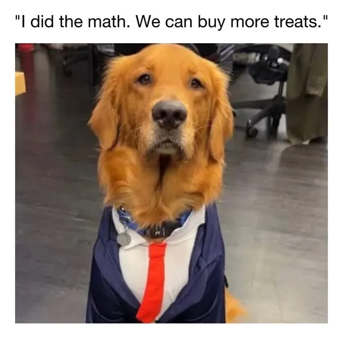 Cute dog meme showing a golden retriever wearing a suit and red tie acting like a businessman.