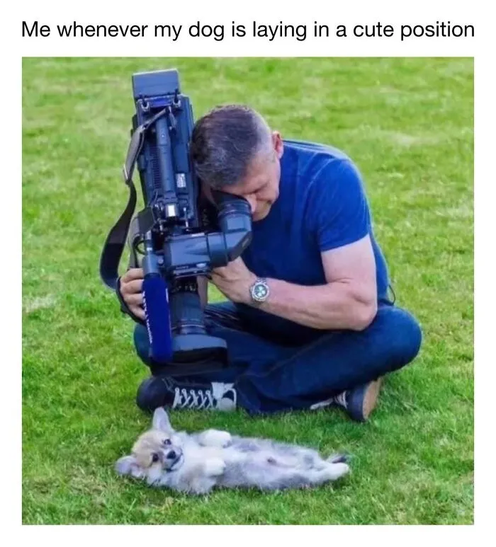 A photographer with a professional video camera filming a tiny puppy on the grass, cute dog memes