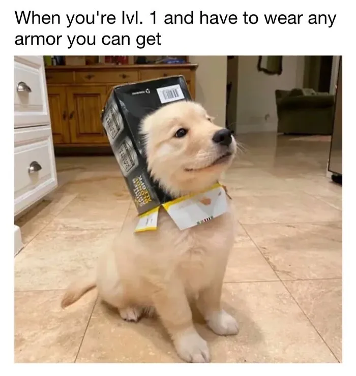 Golden retriever puppy wearing a cardboard box as a helmet, cute dog memes