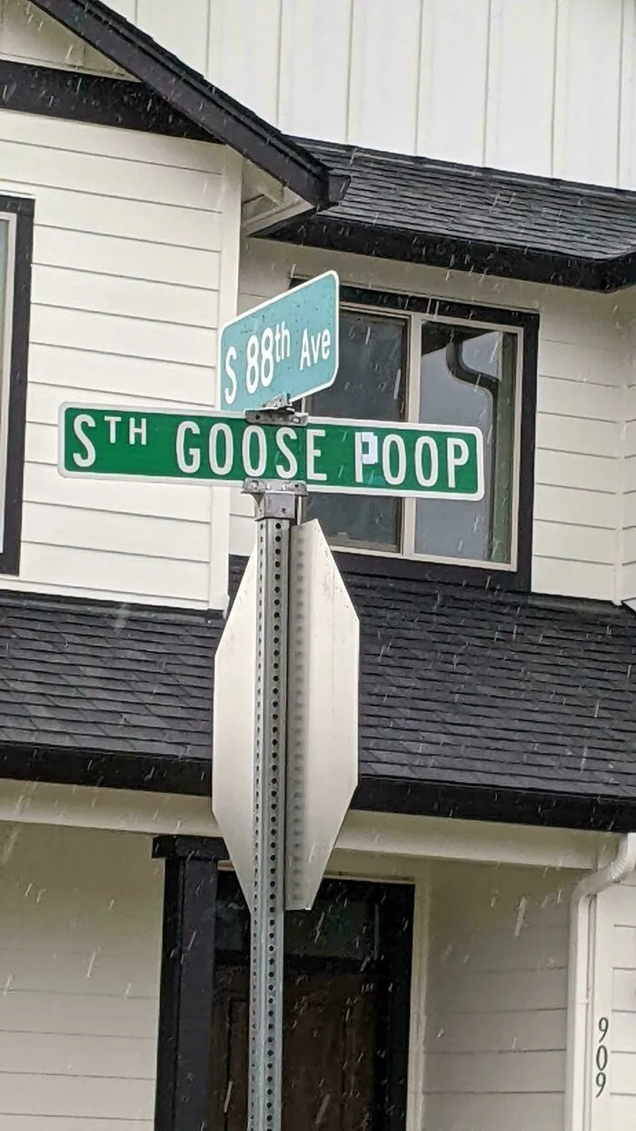 Clever vandalism on a street sign modified to read Goose Poop like a piece of public art.