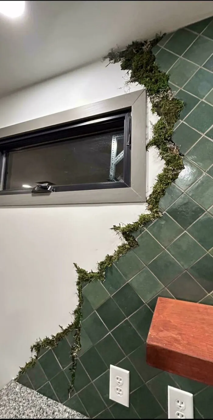 A home renovation attempt featuring green tiles and artificial moss on the wall.