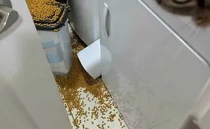 78 Roommates Who Turned Home Into The Last Place Anyone Wanted To Be