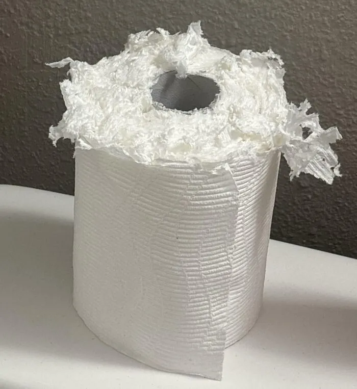 A shredded toilet paper roll sits on a surface, hinting at annoying roommate stories.