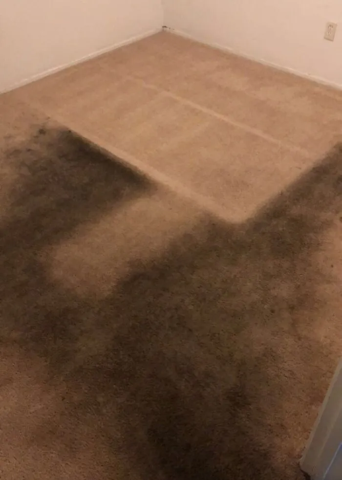 Extremely dirty and stained room carpet highlighting bad roommate stories