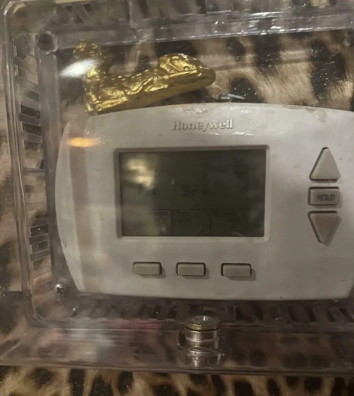 A locked thermostat covered with a plastic box from roommate stories
