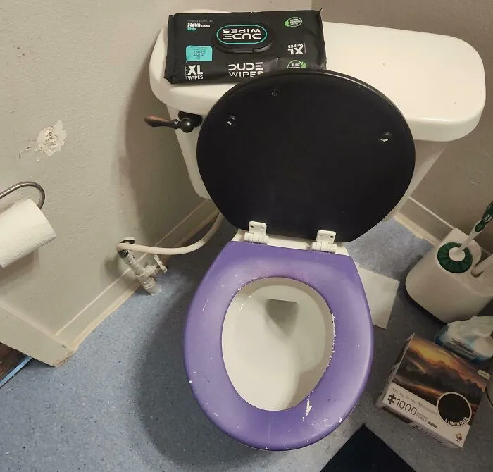 An open toilet with Dude Wipes on top of the tank, showing roommate stories.