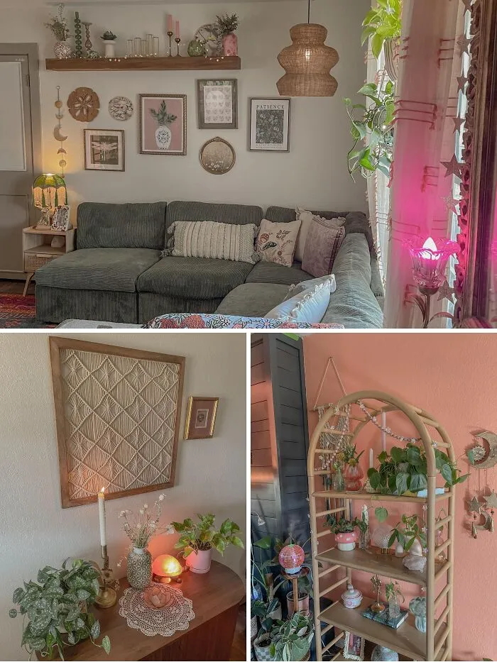 Cozy living room with gallery wall and potted plants featuring a stylish home makeover design