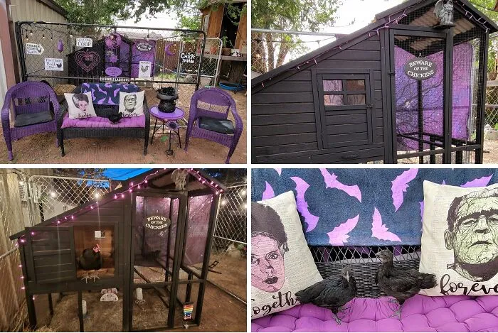 A dark spooky chicken coop area as a creative homes makeover.