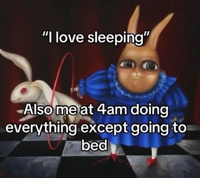 Relatable female meme of a rabbit character avoiding sleep at 4am despite loving sleeping