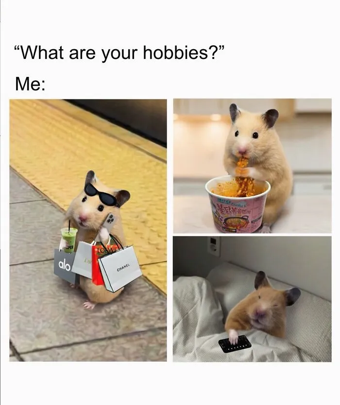 Relatable female meme with hamster showing hobbies like shopping, eating ramen, and watching TV