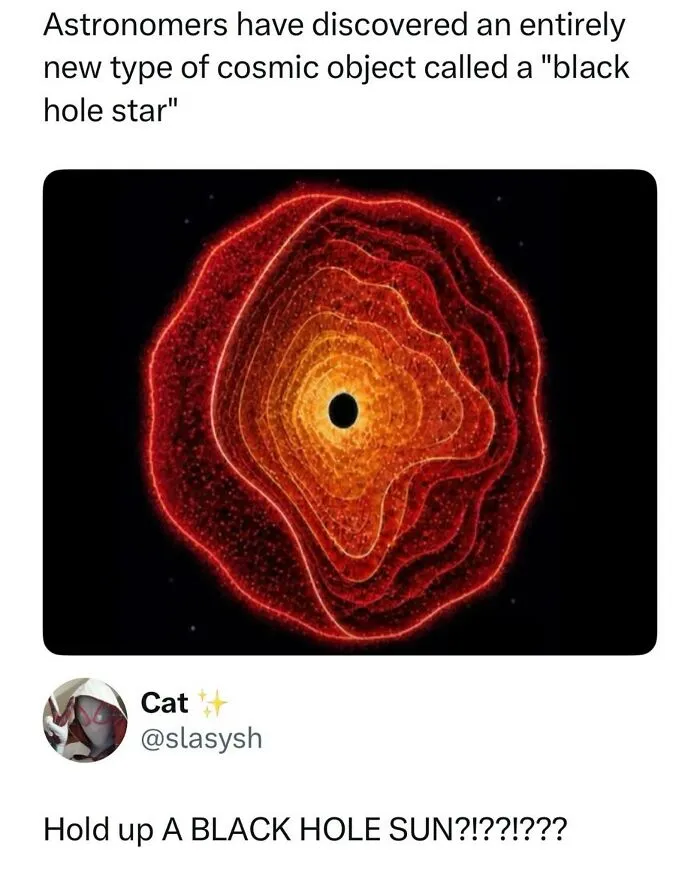 Funny meme showing a black hole star visual alongside a comment about Black Hole Sun.