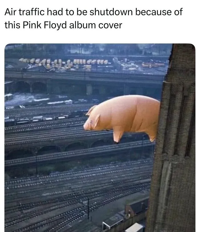 Funny memes giant inflatable pig flying over an industrial cityscape near power station for Pink Floyd album cover