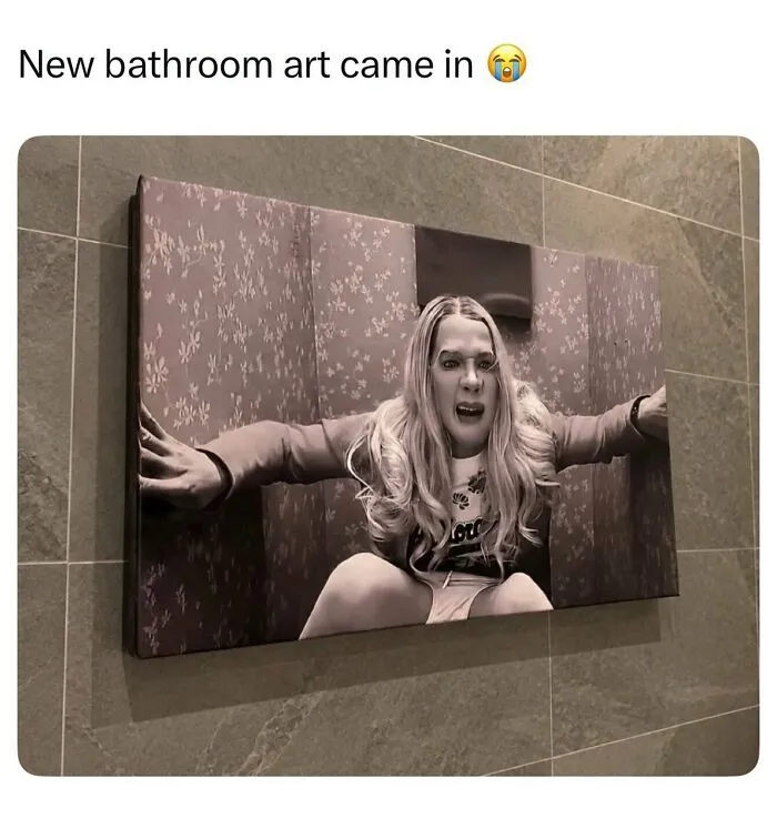 Funny memes about a bathroom wall canvas showing a screaming White Chicks character in a stall