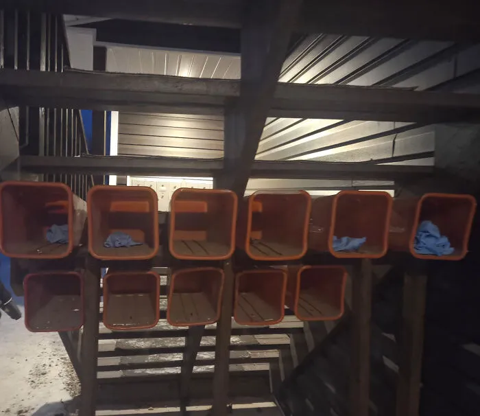 Row of orange plastic mailboxes mounted under wooden outdoor stairs set up by infuriating neighbors.