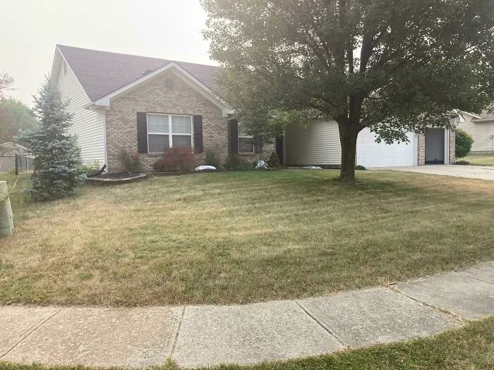 Suburban house front yard with dry grass and large tree, illustrating real-life situations with infuriating neighbors