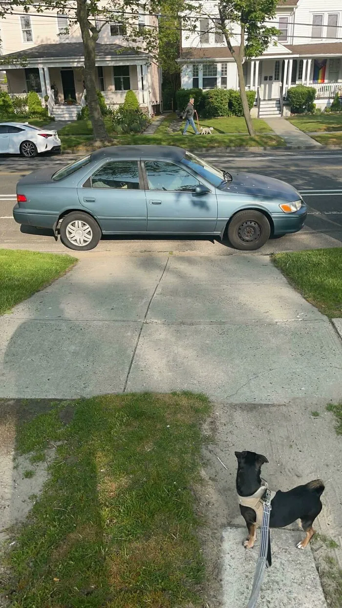 Blue car parked horizontally blocking a sidewalk, an example of infuriating neighbors causing mild annoyances