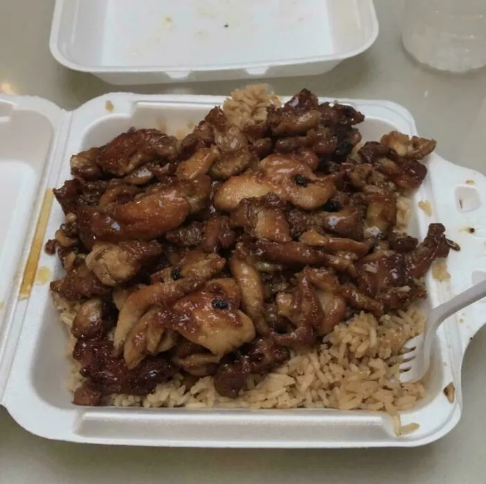 Nostalgic photo of takeout container with grilled chicken teriyaki and rice