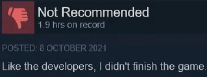 Funny Steam reviews showing a negative rating with text saying the player did not finish the game like the developers
