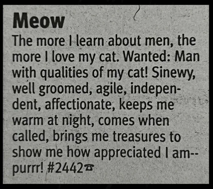 A newspaper personal ad from the past written by a cat lover looking for love.