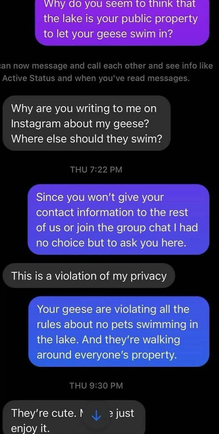 Text messages from infuriating neighbors arguing about pet geese swimming in a community lake