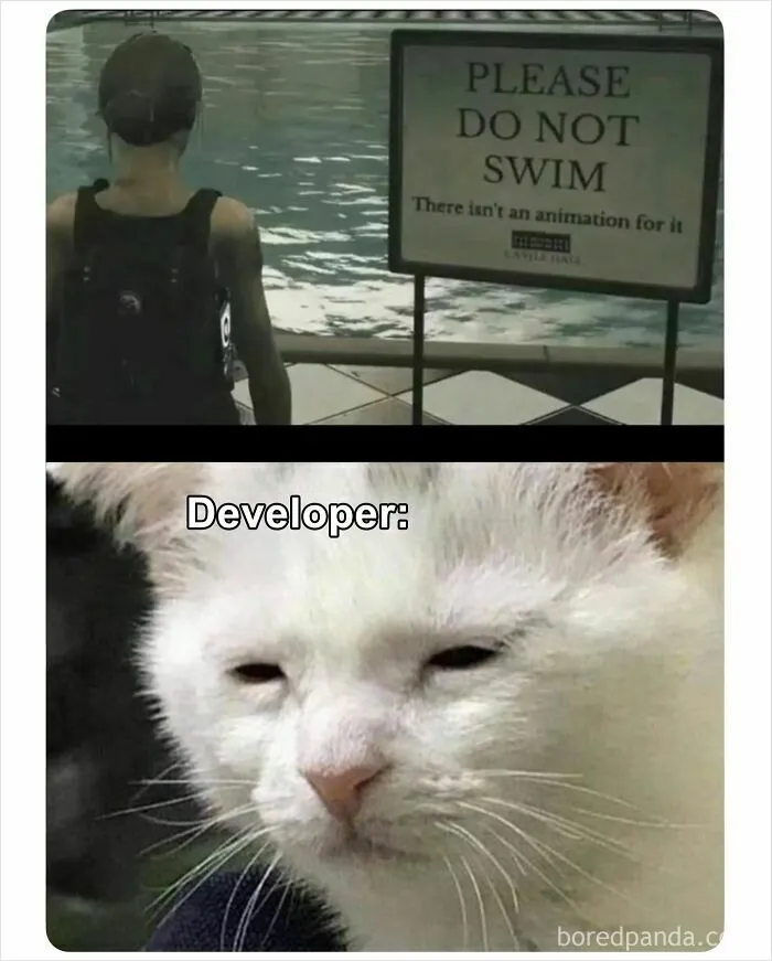 Funny memes featuring a video game sign warning not to swim and a tired white cat face below.
