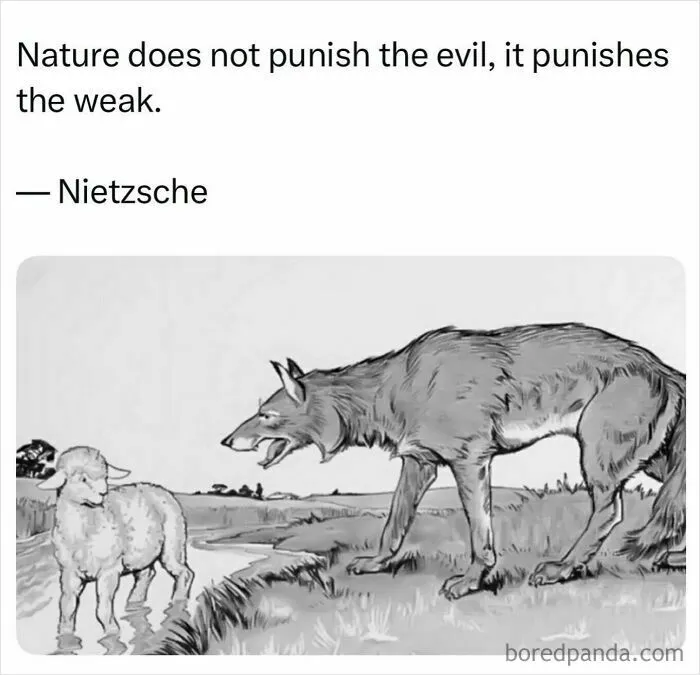 Funny memes showing an illustration of a wolf growling at a lamb next to a Nietzsche quote