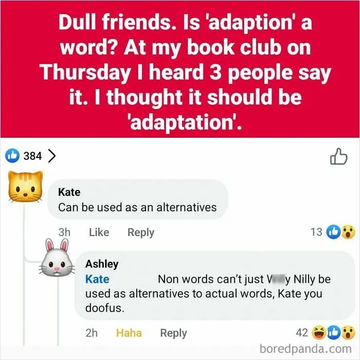 A social media exchange on the word adaption showing people who corrected someone with total confidence