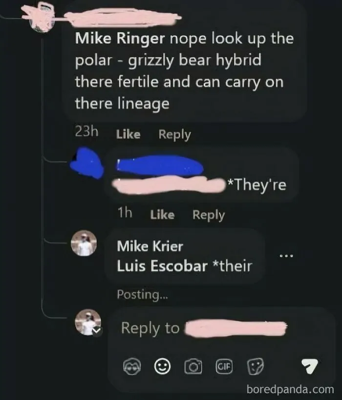 An online debate where people corrected someone incorrectly regarding grammar