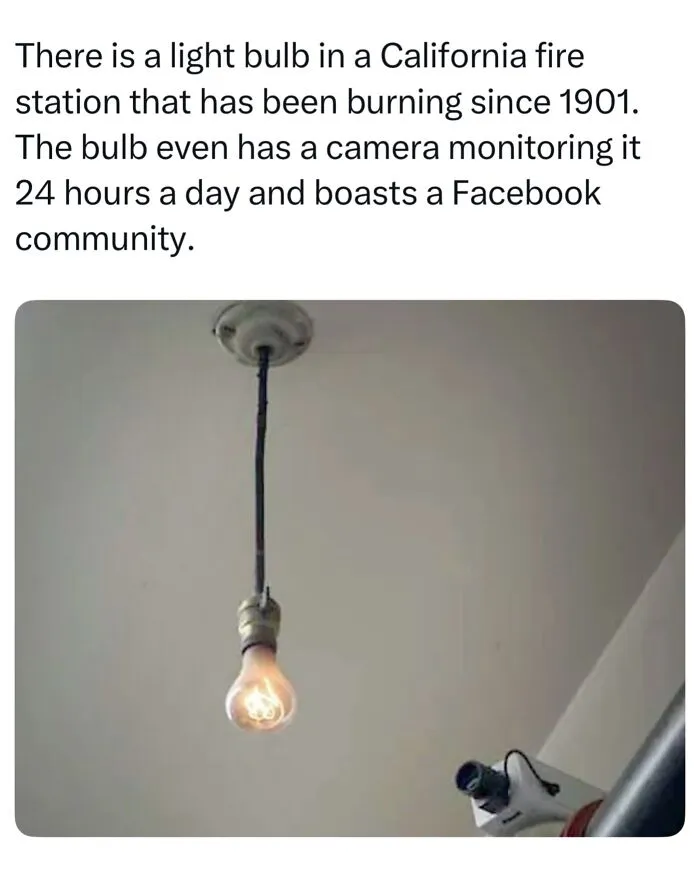 A glowing light bulb hanging from a ceiling monitored by a camera, one of many interesting facts about the world.