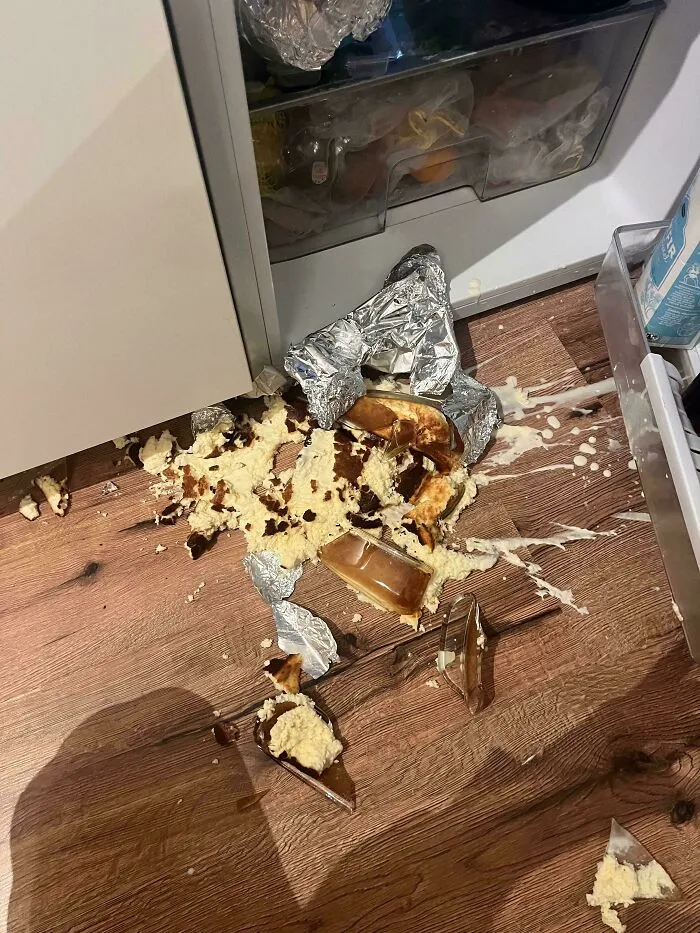 Dropped cake and broken dish splattered on wooden kitchen floor as baking fail