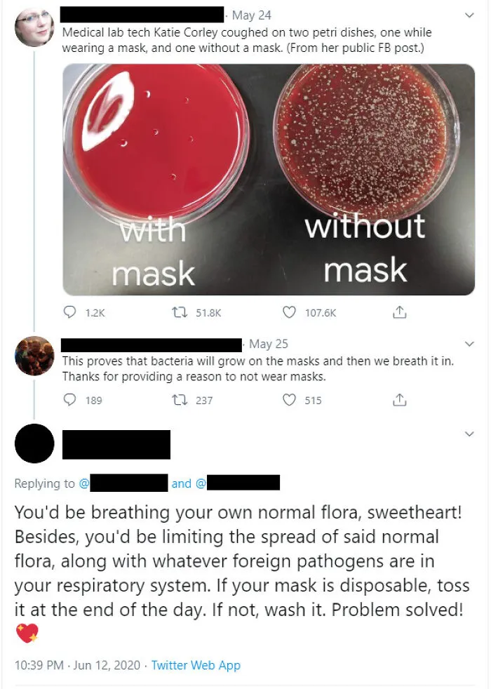 Petri dish experiment post exposing ridiculous lies regarding the use of face masks.