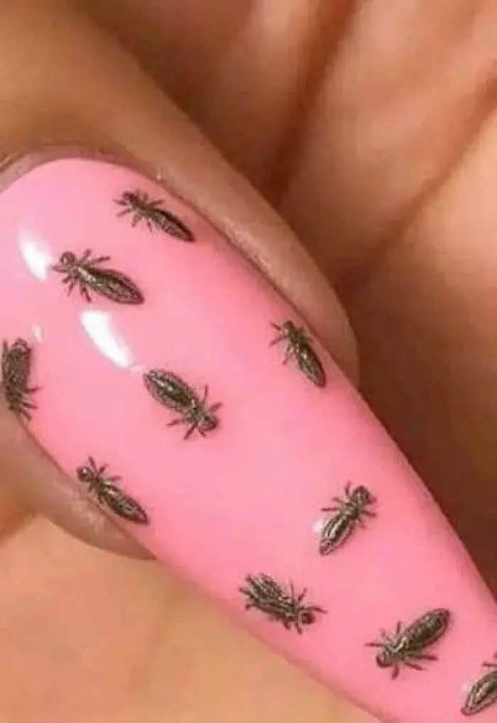 Pink long fingernails printed with louse insects, fitting cursed images.