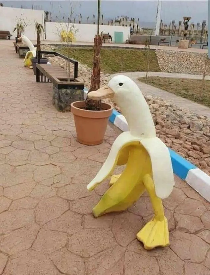 A duck statue combined with a peeled banana on a paved walkway, a strange example from cursed images.