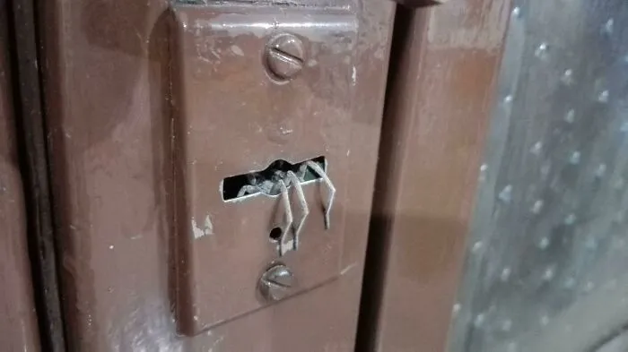 Spider legs sticking out from inside a brown light switch plate, an unsettling cursed images photo.
