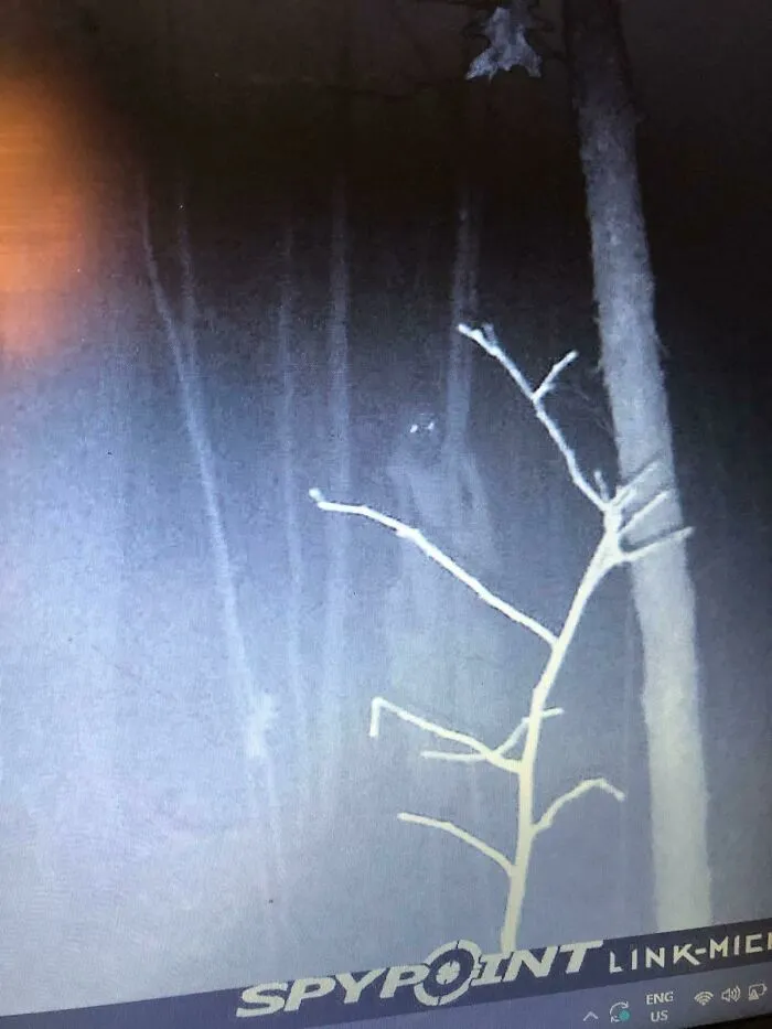 A night vision trail camera capture showing a shadowy figure in a dark forest, reminiscent of creepy photos.